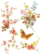 Load image into Gallery viewer, Saint Germain Transfer by IOD