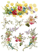 Load image into Gallery viewer, Saint Germain Transfer by IOD