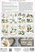 Load image into Gallery viewer, Sarah Featon’s Botanicals Transfer by IOD