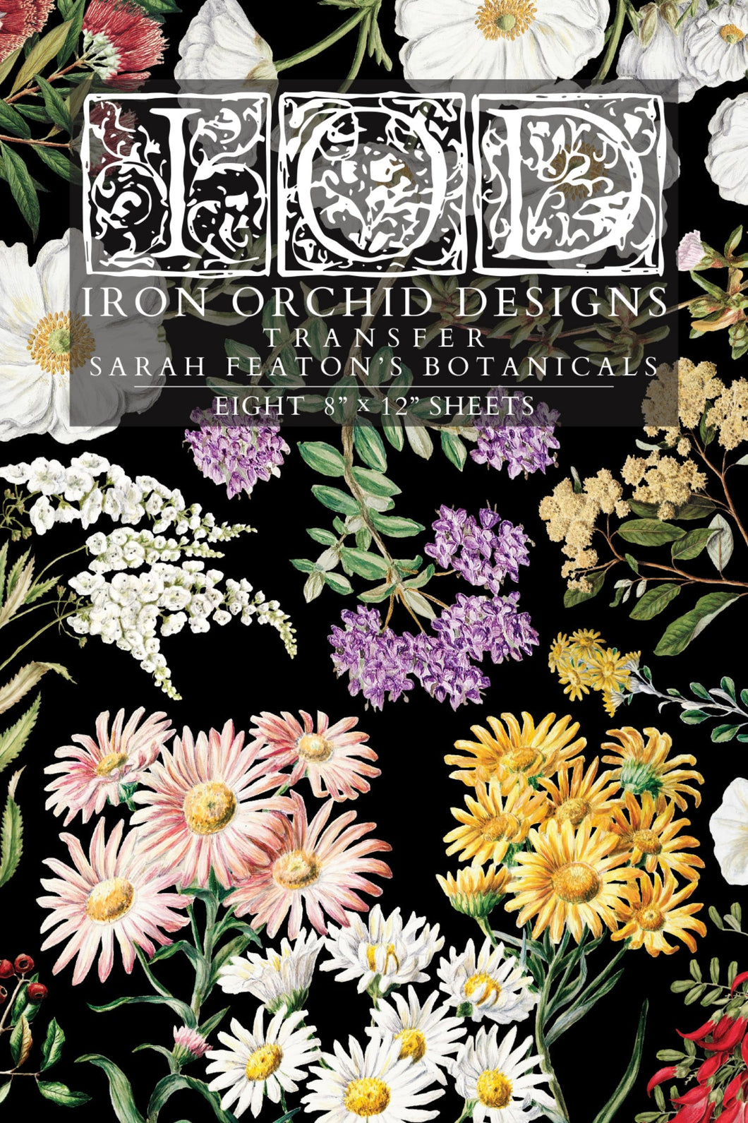 Sarah Featon’s Botanicals Transfer by IOD