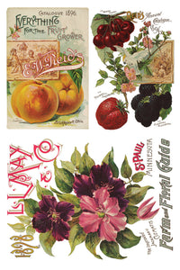 Seed Catalogue Transfer by IOD, Iron Orchid Designs Page 2