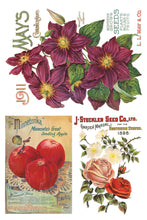 Load image into Gallery viewer, Seed Catalogue Transfer by IOD, Iron Orchid Designs Page 4