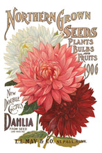 Load image into Gallery viewer, Seed Catalogue Transfer by IOD, Iron Orchid Designs Page 5