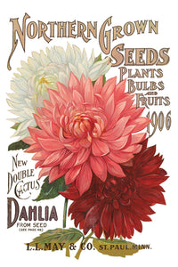 Seed Catalogue Transfer by IOD, Iron Orchid Designs Page 5