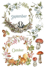 Load image into Gallery viewer, A watercolor-style autumn-themed graphic with two circular botanical frames labeled September and October. The top frame shows a badger among leaves and acorns, while the bottom frame shows a squirrel with pumpkins, berries, and mushrooms.