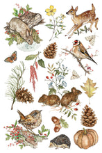 Load image into Gallery viewer, A sheet of watercolor-style nature illustrations on a white background, featuring a rabbit, deer, birds, pinecones, leaves, berries, acorns, and a hedgehog.