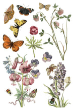 Load image into Gallery viewer, Wilde Bloemen Transfer by IOD