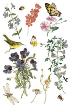 Load image into Gallery viewer, Wilde Bloemen Transfer by IOD