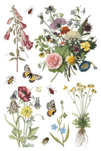 Load image into Gallery viewer, Wilde Bloemen Transfer by IOD