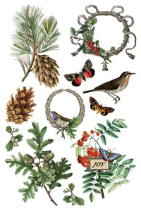 Winter Botanist Transfer by IOD