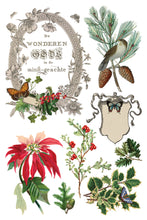 Load image into Gallery viewer, Winter Botanist Transfer by IOD