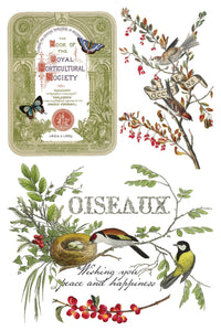 Winter Botanist Transfer by IOD