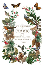 Load image into Gallery viewer, Winter Botanist Transfer by IOD