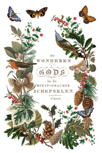 Winter Botanist Transfer by IOD