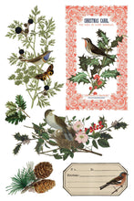 Load image into Gallery viewer, Winter Botanist Transfer by IOD