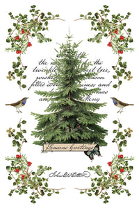 Winter Botanist Transfer by IOD