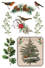 Load image into Gallery viewer, Winter Botanist Transfer by IOD