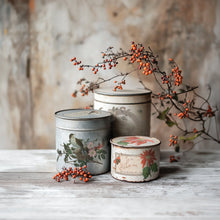Load image into Gallery viewer, Winter Botanist Transfer by IOD
