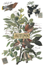 Load image into Gallery viewer, Vintage-style autumn bird illustration print featuring several brown and black birds perched among green leaves on a tree, with a central wooden sign reading "AUTUMN" and faint handwritten script in the background.