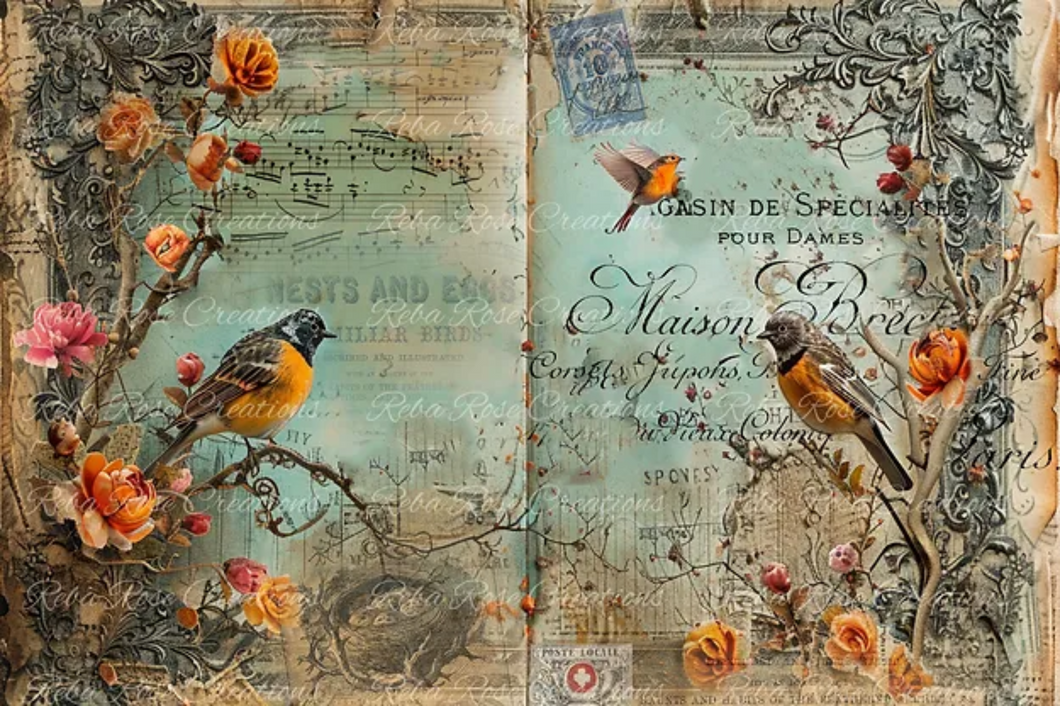 Junk Journal Birds and Eggs Rice Paper by Reba Rose Creations