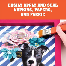 Load image into Gallery viewer, Mod Podge ® Decoupage Brushes 2 Piece Brush Set