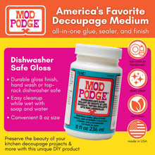 Load image into Gallery viewer, Mod Podge Dishwasher Safe Glue Sealer Finish decoupage medium container with product features inforgraphic on  colorful background
