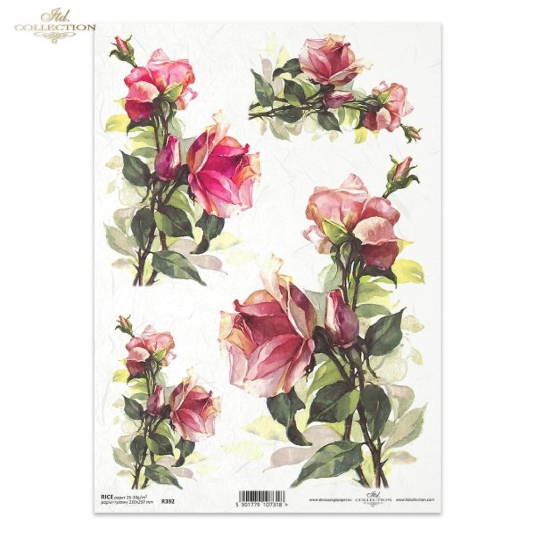 Prettiest Pink Garden Roses Rice Paper by ITD Collection, A4, R0392