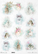 Load image into Gallery viewer, R0517L