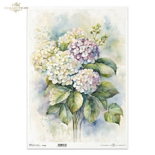 Blue and Pink Hydrangea Portrait Rice Paper by ITD Collection