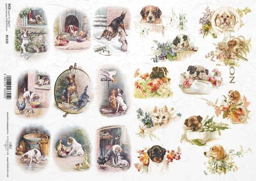 Darling Best Friends, Dogs Rice Paper by ITD Collection, R1332, A4
