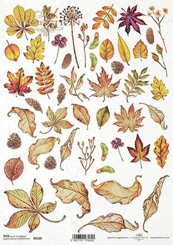 Autumn Leaves Rice Paper by ITD Collection, R2120
