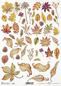Autumn Leaves Rice Paper by ITD Collection, R2120