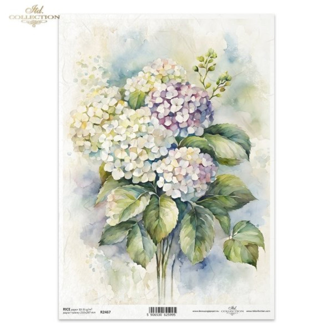 Blue and Pink Hydrangea Portrait Rice Paper by ITD Collection