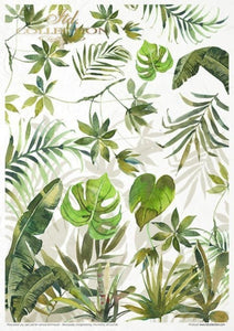 Tropical Dreams Rice Paper Set by ITD Collection