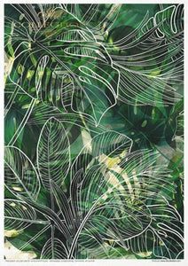 Tropical Dreams Rice Paper Set by ITD Collection