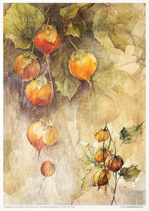Autumn Love Story Rice Paper Set by ITD Collection