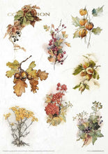 Load image into Gallery viewer, Autumn Love Story Rice Paper Set by ITD Collection