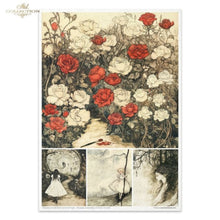 Load image into Gallery viewer, Alice&#39;s Magic Vol. 2 Rice Paper Set by ITD Collection