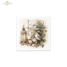 Load image into Gallery viewer, A square decorative art print or card featuring two small birds perched among pink flowers and green leaves beside a lantern and candle, set against a softly textured cream background. The print is centered on a white page with a small 'Ash Collection' mark in the upper left corner.