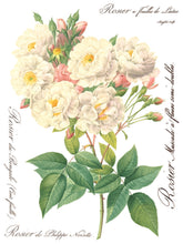 Load image into Gallery viewer, Rose Botanicals, Transfer by IOD, Iron Orchid Designs 1