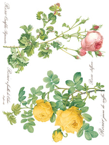 Rose Botanicals, Transfer by IOD, Iron Orchid Designs 2