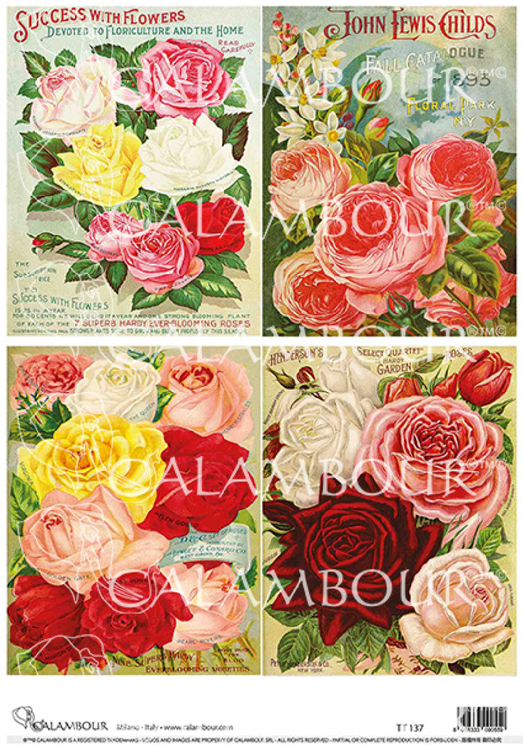 Beautiful Open Roses Rice Paper by Calambour Italy TT137