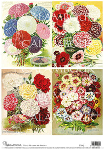 Asters Phloxes and Carnations Rice Paper by Calambour Italy TT142