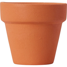 Load image into Gallery viewer, Terracotta pot on a white background