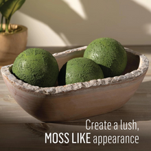 Load image into Gallery viewer, Decorative bowl with moss-like balls on a wooden surface