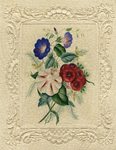 Framed Florals by Monahan Papers X1000