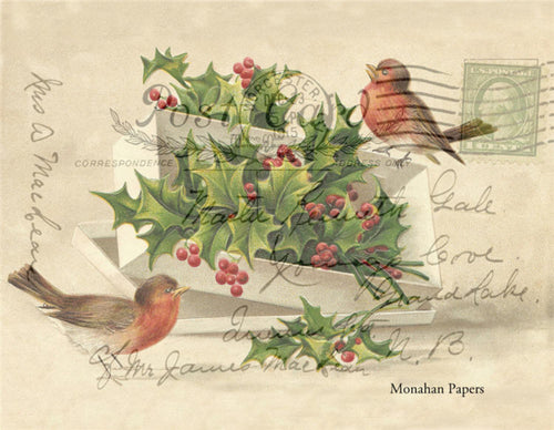 Birds & Holly by Monahan Papers