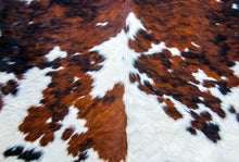 Load image into Gallery viewer, Roycycled Treasures Cowhide Decoupage Paper