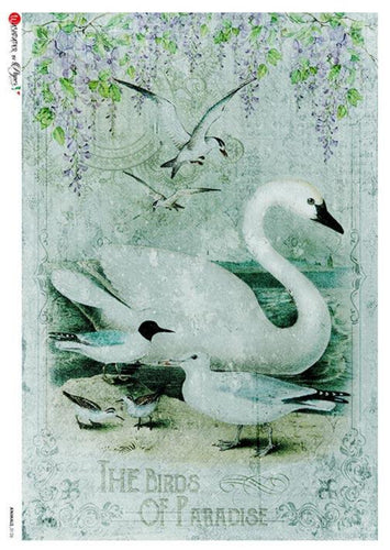 Animals 0126 Paper Designs Washi Rice Decoupage Paper, Swan, Birds, A4