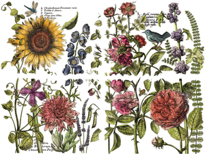 Iron Orchid Designs Botanist's Journal 4 Sheet Pad Decor Transfer, 12x16